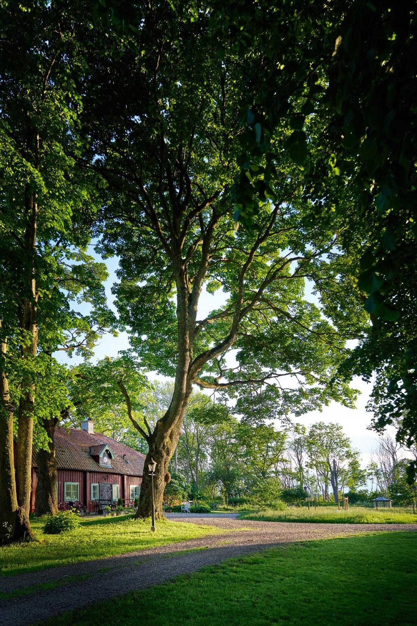 Kungs Starby Gard Bed And Breakfast Vadstena Zewnętrze zdjęcie