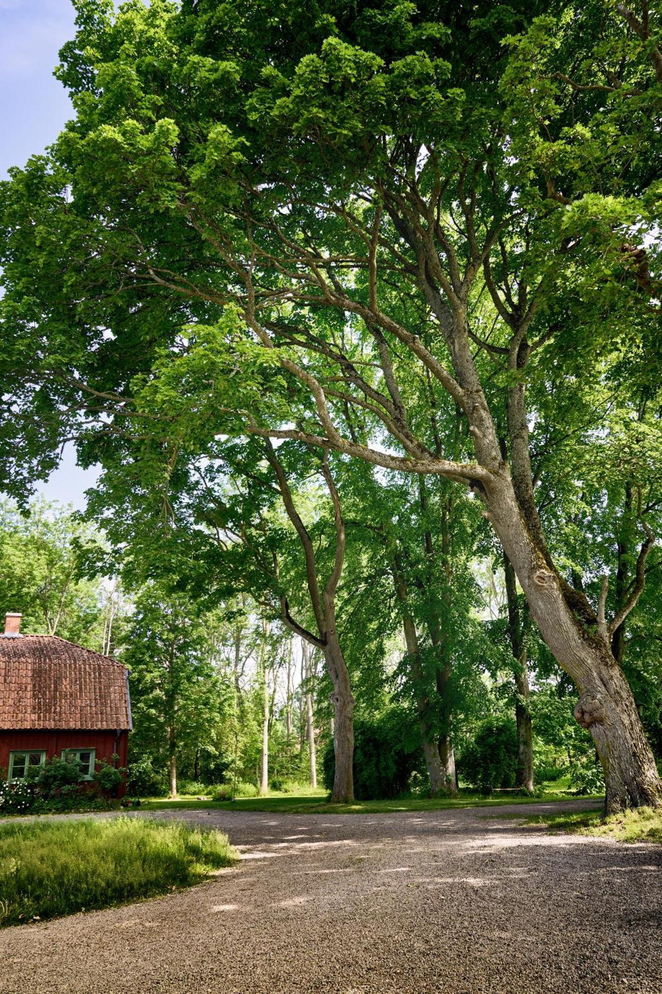 Kungs Starby Gard Bed And Breakfast Vadstena Zewnętrze zdjęcie